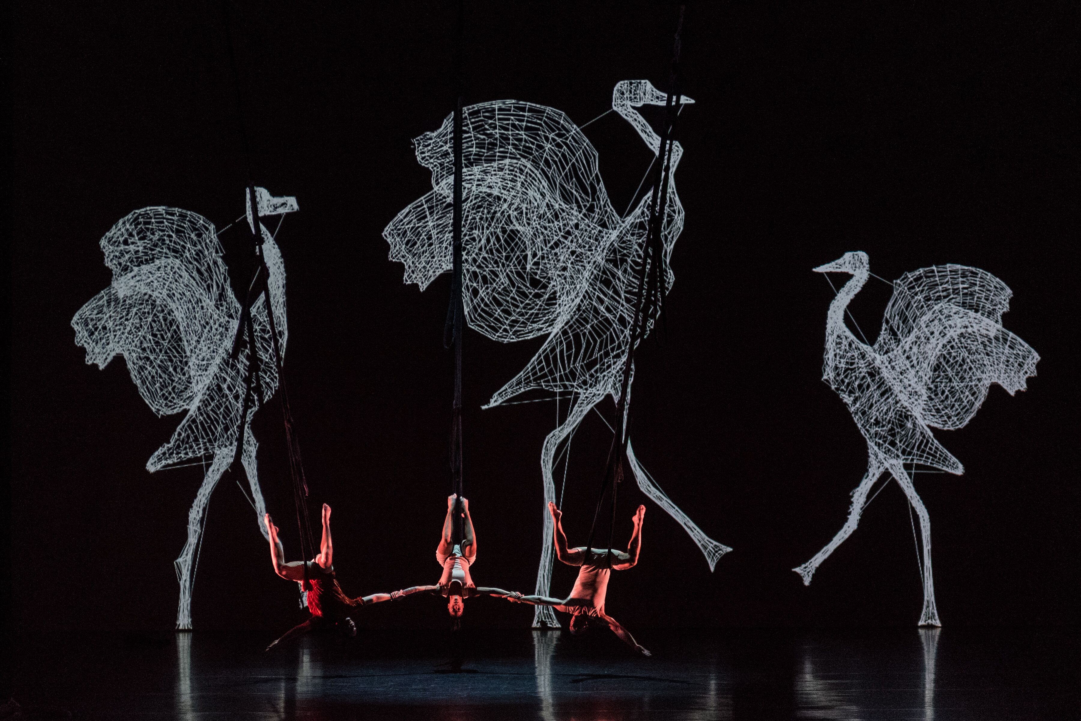 Dot and the Kangaroo : A Theatrical Adaptation at the Sydney Opera House